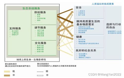 INVEST模型實(shí)踐與進(jìn)階 在生態(tài)系統(tǒng)服務(wù)評估與城市研究中的核心應(yīng)用及技術(shù)服務(wù)體系